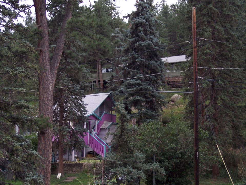 House with pink trim among tall pines with power lines; no vehicle present