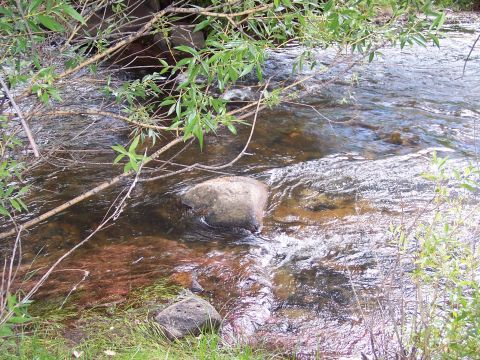 1972 Ford Ranchero - A natural scene of a river flowing over rocks, with branches and foliage visible.