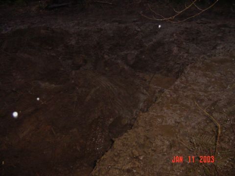 1989 Ford Bronco - Quite a hole