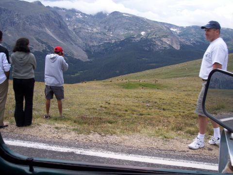 1972 Ford Ranchero - People watch elk grazing in a mountain meadow from the side of a road.