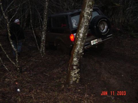 1989 Ford Bronco - I am free!! or am I?