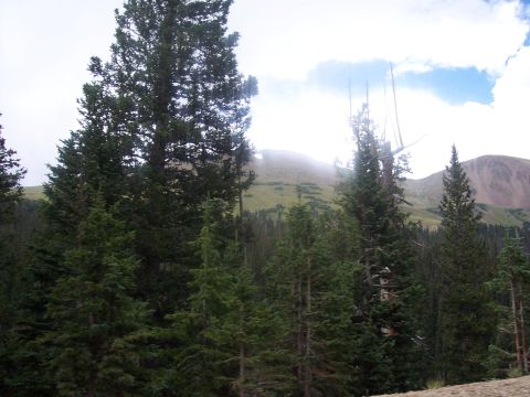 1972 Ford Ranchero - A scenic view of a mountain range partially obscured by clouds and surrounded by numerous pine trees.
