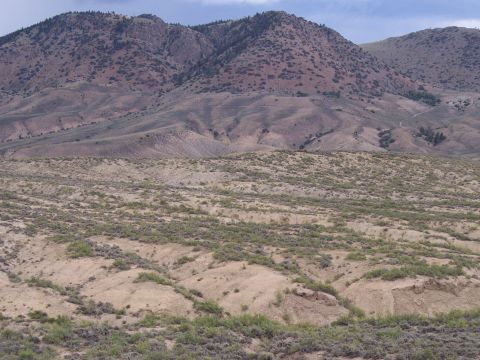 1972 Ford Ranchero - A wide view of a dry, hilly landscape with sparse vegetation and distant mountains.
