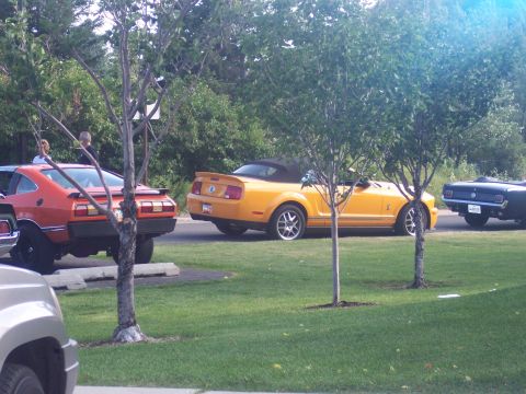 1972 Ford Ranchero - Several cars are parked on a grassy area next to a road, with trees providing shade.