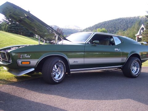 1972 Ford Ranchero - Green 1971 Ford Mustang Mach 1, hood up, parked on asphalt with grassy hill and trees in background.