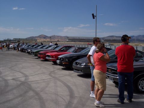 1972 Ford Ranchero - Several Ford Mustangs are parked in a line on a paved surface, with spectators observing.
