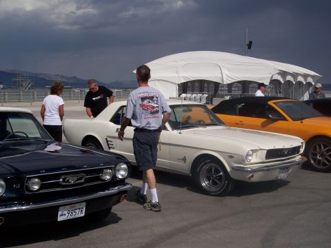 1972 Ford Ranchero - A trio of Ford Mustangs are displayed under a large tent with people milling around.