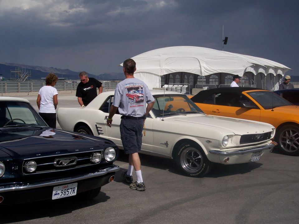White classic Ford Mustang coupe at outdoor car show with other Mustangs and spectators