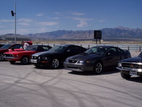 1972 Ford Ranchero - A line of Ford Mustangs are parked on a track with mountains visible in the distance under a clear blue sky.
