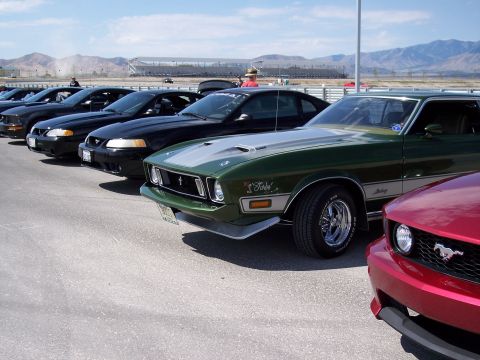 1972 Ford Ranchero - Several Ford Mustangs are parked in a line on a sunny day at a racetrack.
