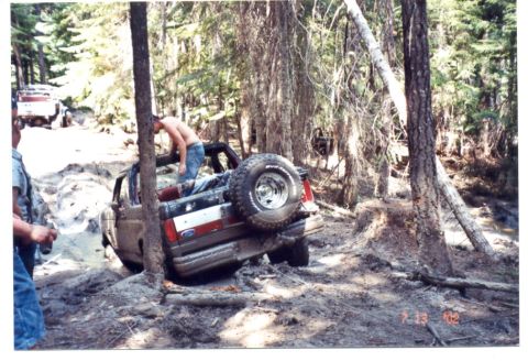 1989 Ford Bronco - Kinda close to the tree