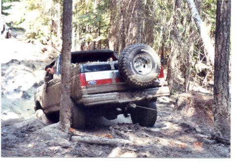 1989 Ford Bronco - And it is coming out