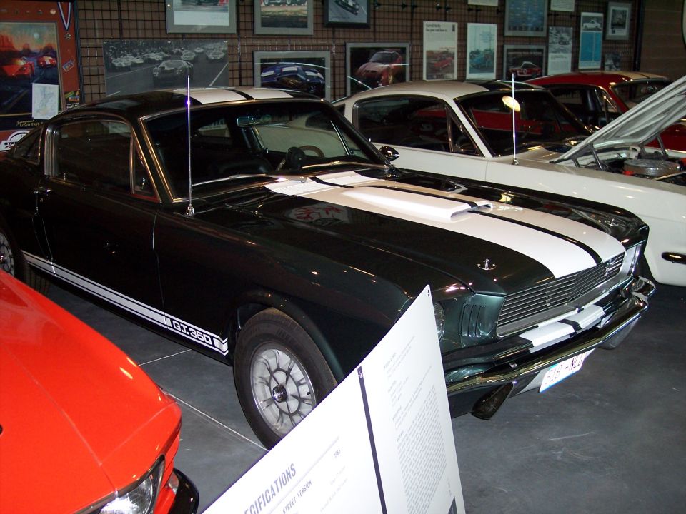 Dark green Shelby GT-350 fastback with white stripes in a car museum display.