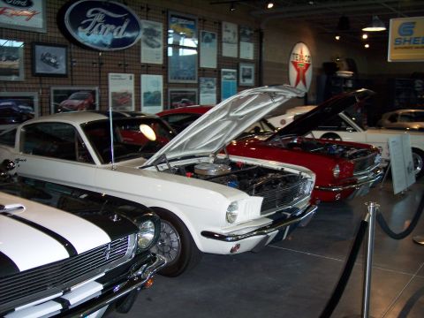 1972 Ford Ranchero - Multiple Ford Mustangs are displayed with their hoods open in a showroom.