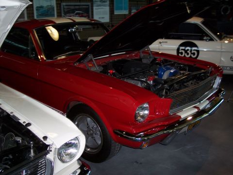 1972 Ford Ranchero - Two classic cars are displayed indoors, one red and one white, with the red car's hood open.