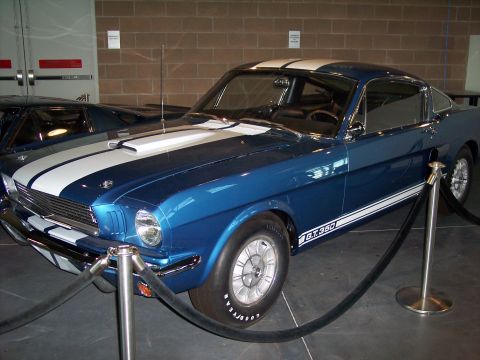 1972 Ford Ranchero - A blue 1966 Ford Mustang GT350 is displayed indoors, cordoned off with velvet ropes.