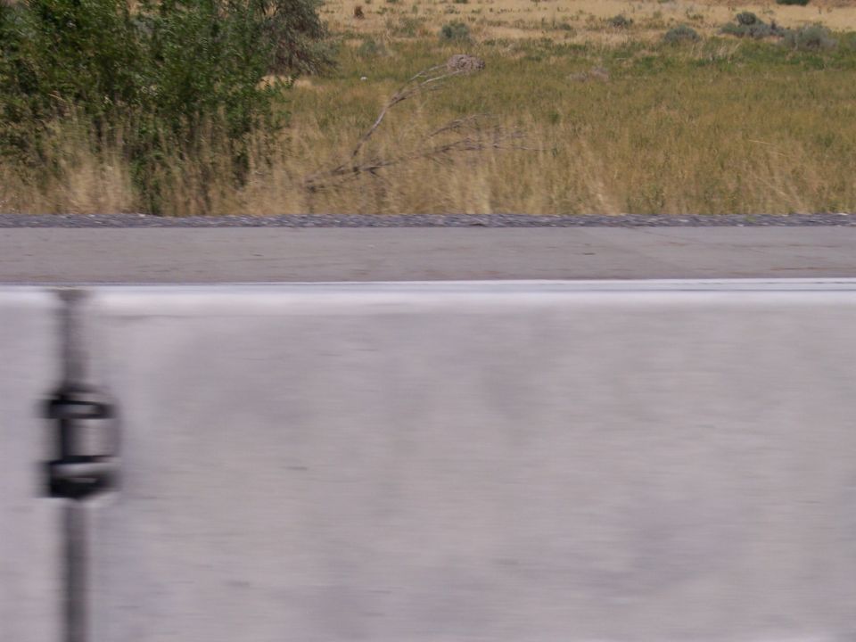 Blurry silver vehicle panel with dark post, roadside and dry grass behind.