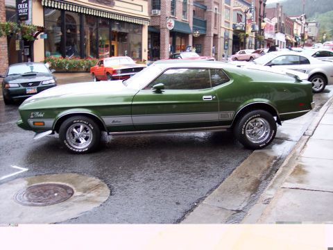 1972 Ford Ranchero - A green 1971 Ford Mustang Mach 1 is parked on a wet street in front of shops.