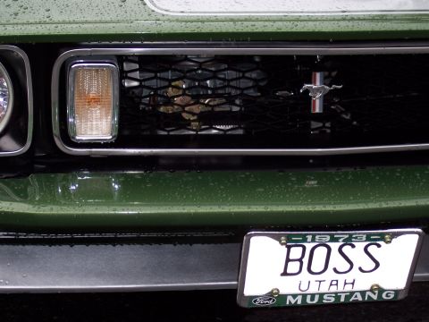 1972 Ford Ranchero - The front grille of a green Ford Mustang, a 'BOSS' license plate and a Mustang emblem.
