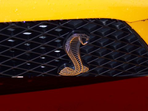 1972 Ford Ranchero - Cobra emblem on a vehicle's front grille.