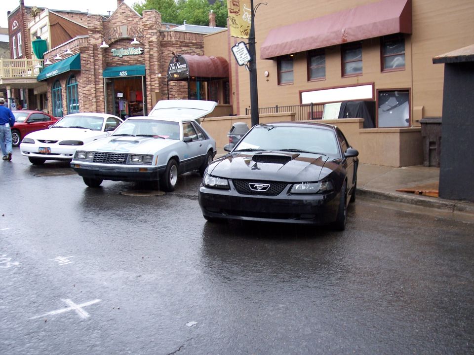 Black Ford Mustang coupe parked on wet street with older Mustang and white car behind.