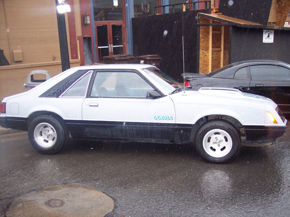 White Fox-body Mustang hatchback in profile with COBRA decal, parked on wet pavement.