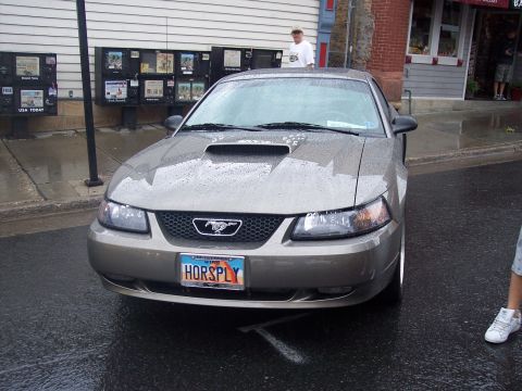 Gray Ford Mustang coupe, front view, Utah HORSPLY plate on wet street