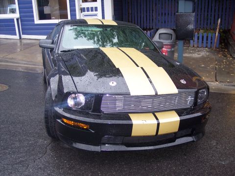Black Ford Mustang coupe with gold racing stripes, front view on wet pavement