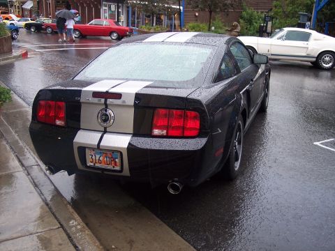 Black Shelby Mustang coupe with white stripes, rear view, parked on wet street