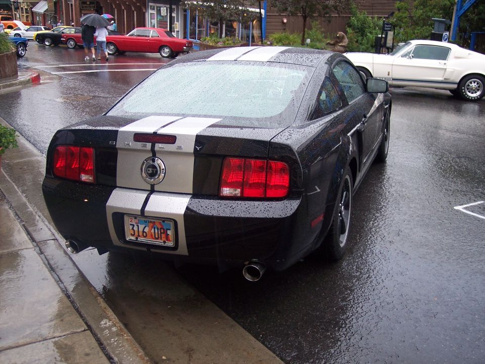 Black Shelby Mustang coupe with white stripes, rear view, parked on wet street