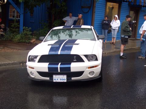 White Shelby GT500 Mustang with blue stripes, front view on wet street