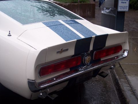 Rear of white Shelby GT500 Mustang with blue stripes, wet pavement, parking meter