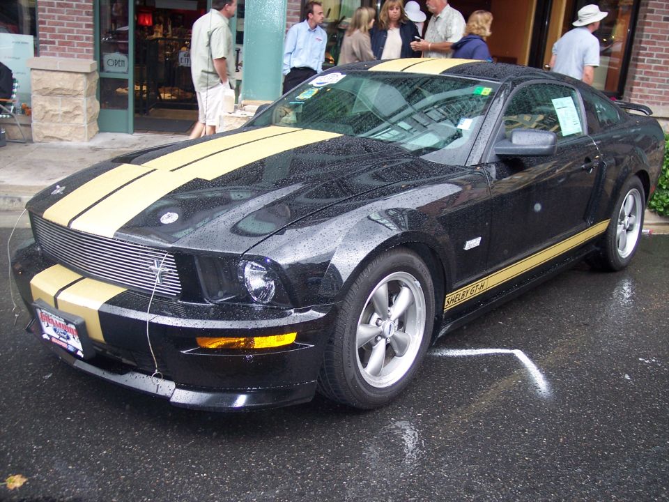 Black Shelby GT-H coupe with gold stripes parked wet on a street