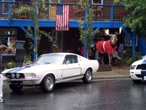 1972 Ford Ranchero - Two classic Mustangs are parked outside a building decorated with an American flag and a moose statue wearing a red coat.