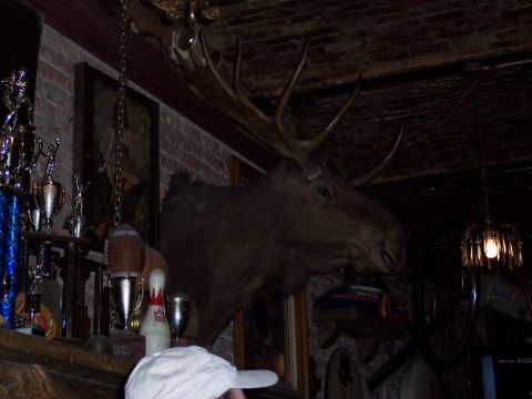 1972 Ford Ranchero - A mounted moose head hangs above a collection of trophies and bowling pins in a dimly lit room.
