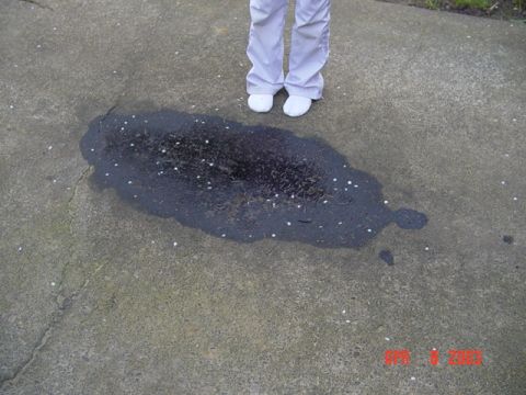 1989 Ford Bronco - My spiffy oil stained driveway (Yes the bronco leaks alot)