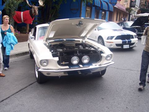 1972 Ford Ranchero - White 1967 Ford Mustang Shelby GT500 on street, hood open, with another Mustang behind.