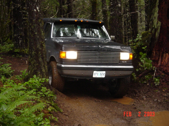 Chris cutting thru the trees