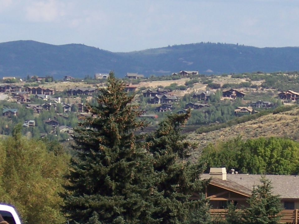 Mountainous landscape with scattered houses and evergreen trees in the foreground