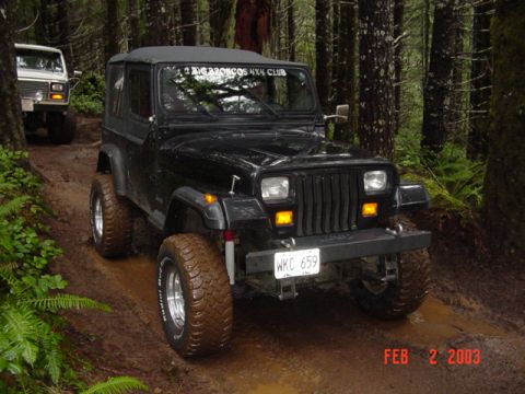 1989 Ford Bronco - Jeep looking great with new springover
