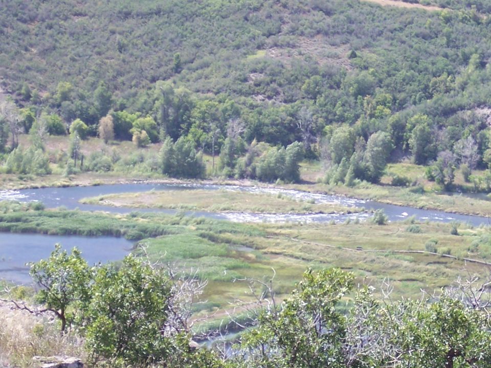 River winding through a green valley with trees and hills in the background