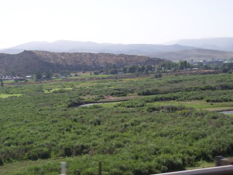 1972 Ford Ranchero - A wide view of a rural landscape with dense vegetation and rolling hills in the distance.