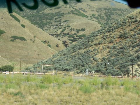 1972 Ford Ranchero - A landscape shot captures the arid terrain of rolling hills dotted with sparse vegetation and a distant fence line.