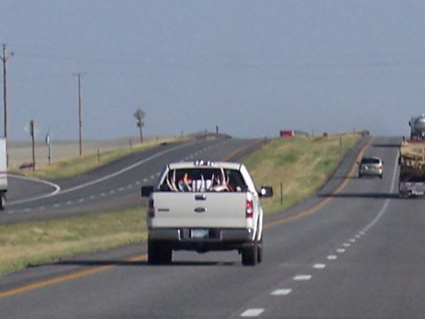 1972 Ford Ranchero - A white pickup truck carrying antlers in its bed travels down a highway under a clear blue sky.
