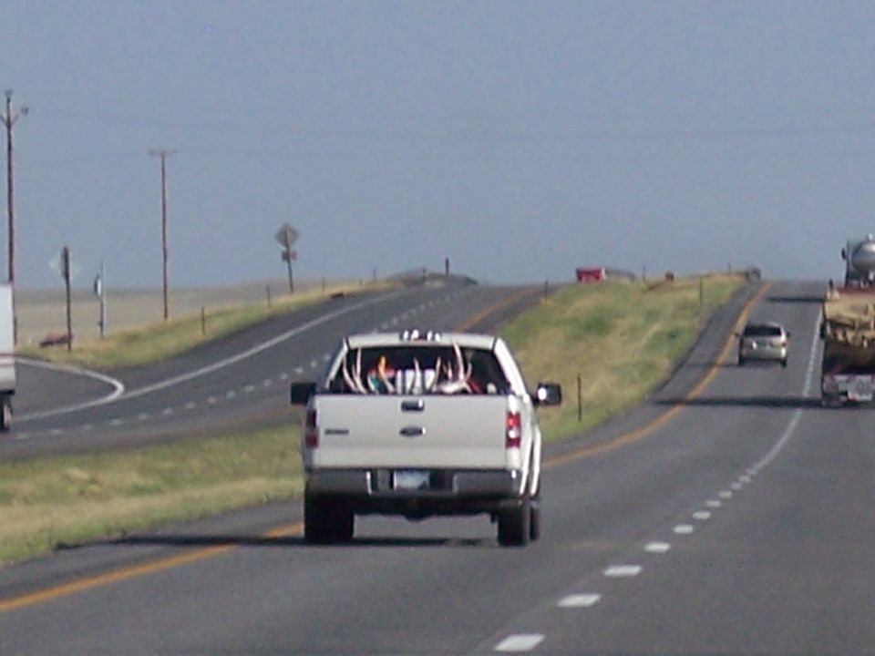 White pickup truck with antlers in the bed driving on a highway