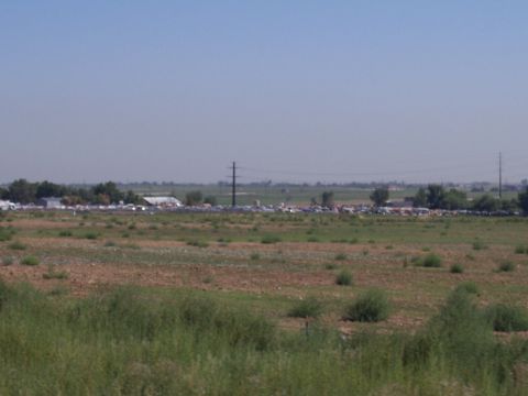 1972 Ford Ranchero - A wide shot shows numerous vehicles in the distance, with buildings and trees on the horizon.