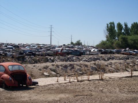 1972 Ford Ranchero - A vast expanse of abandoned vehicles sits in a junkyard under a bright, clear sky.