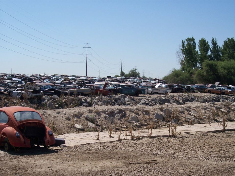 Junkyard full of old cars under a clear blue sky with power lines overhead