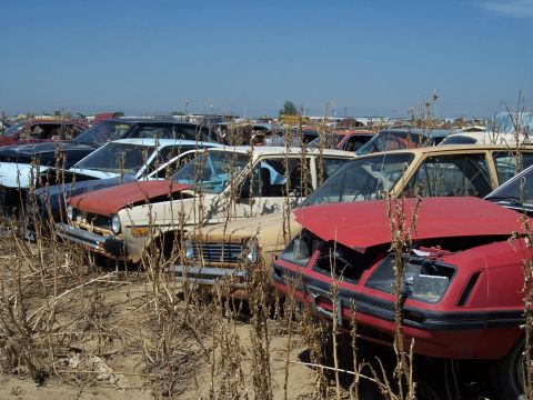 1972 Ford Ranchero - A collection of weathered vehicles sits in a junkyard under a clear blue sky.