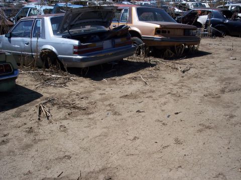 1972 Ford Ranchero - Two cars sit in a junkyard, one with its trunk open, revealing its interior.
